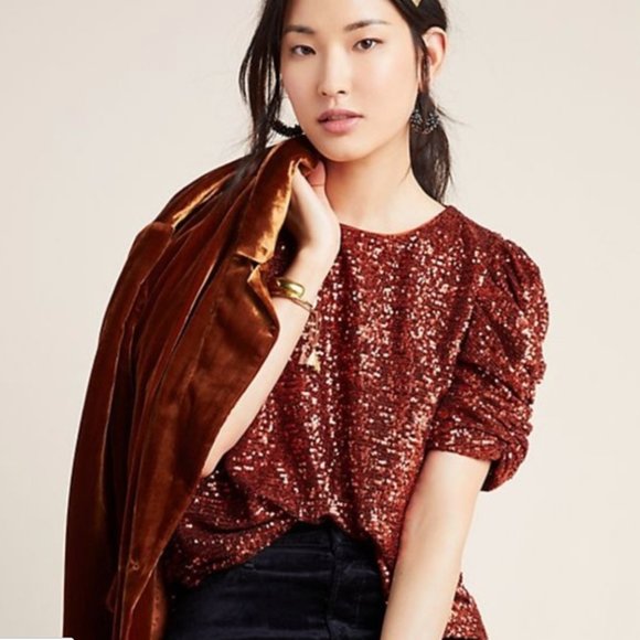Anthropologie Tops - NWT anthropologie marie sequined blouse sz 8